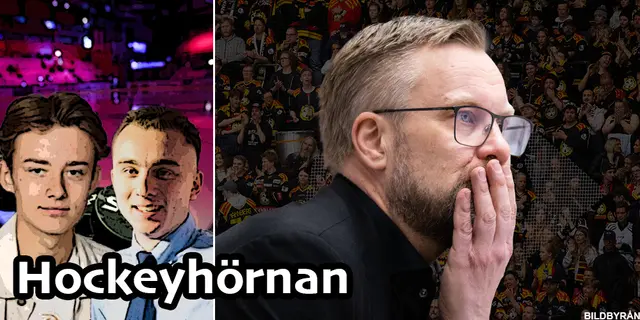Hockeyhörnan: ”Galenskap är att göra samma sak om och om igen”