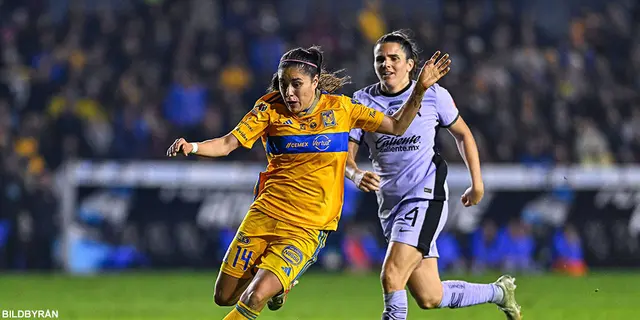 Storstjärnan skadad i Tigres uttåg