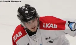 Viktor Mikko